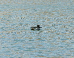 image1~1.jpg image1~1.jpg