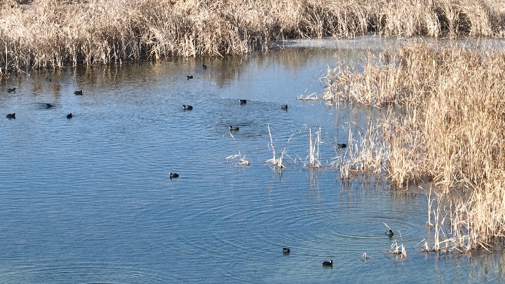 506714833_b914847a-1807-49ef-b966-89b228db2609~1.jpg 506714833_b914847a-1807-49ef-b966-89b228db2609~1.jpg