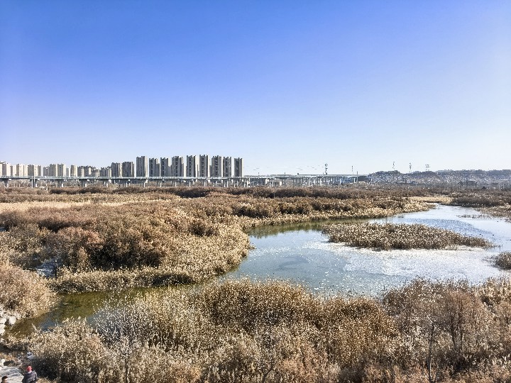 506714833_af5c086b-868c-40cb-939e-4dae5dd4fef3~1.jpg 506714833_af5c086b-868c-40cb-939e-4dae5dd4fef3~1.jpg