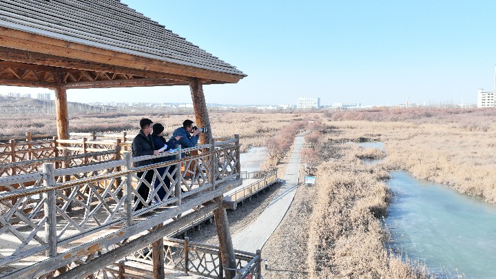 506714833_1f8f2cd5-6dbd-4dfc-a048-7b5bc12c82be~1.jpg 506714833_1f8f2cd5-6dbd-4dfc-a048-7b5bc12c82be~1.jpg